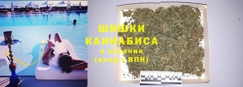 Бошки Шишки SATIVA & INDICA  Омск 